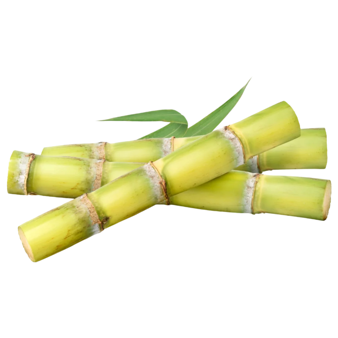 Sugarcane Sugarcane 1pc 